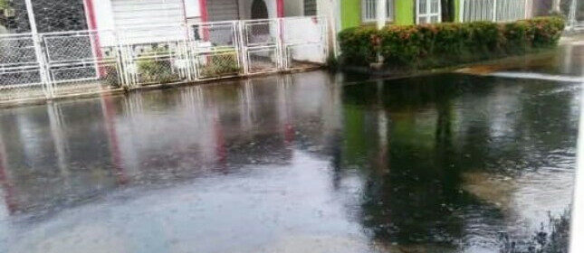 oil flood
