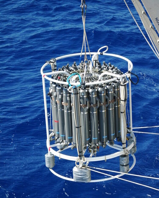 Click to enlarge CTD-rosette