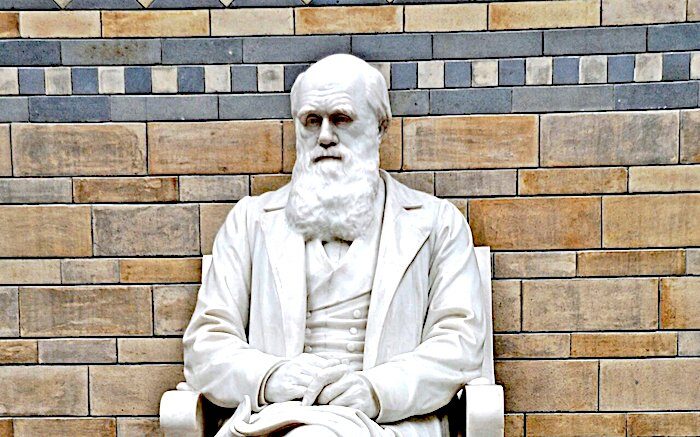 Darwin statue