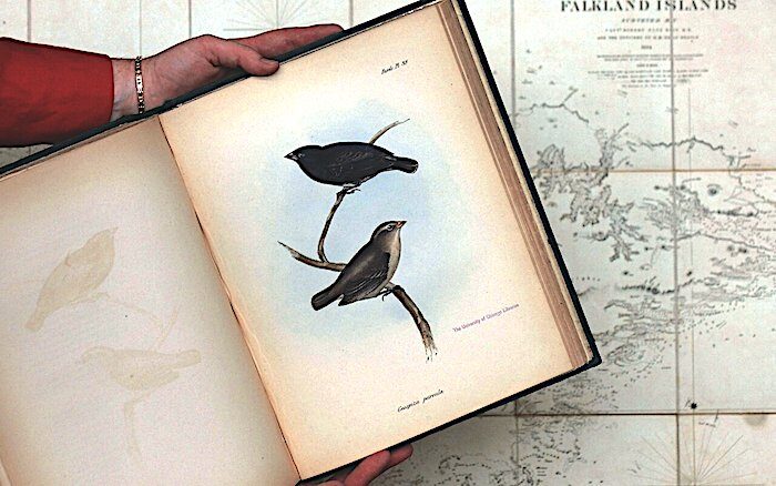 Book finches