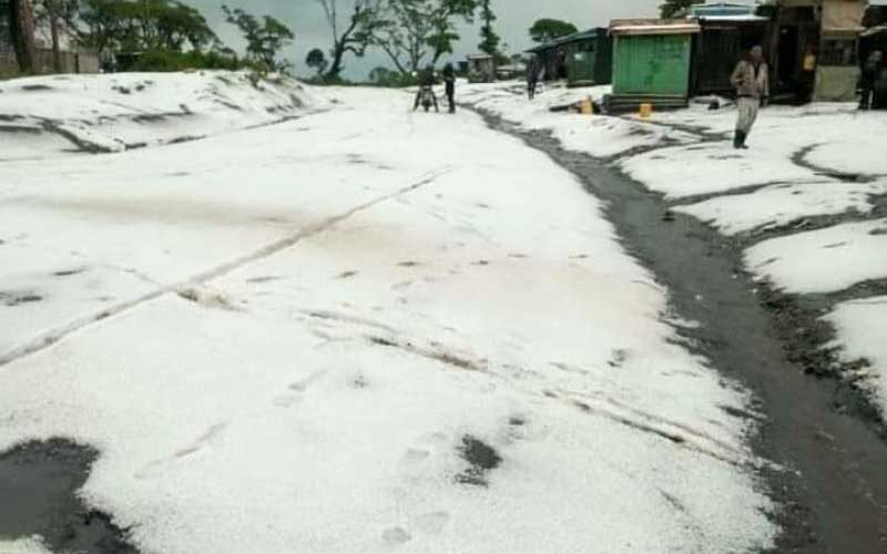Part of the ground that is covered in ice some 12 hours after the storm.