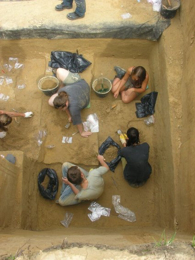 Digging for Bones