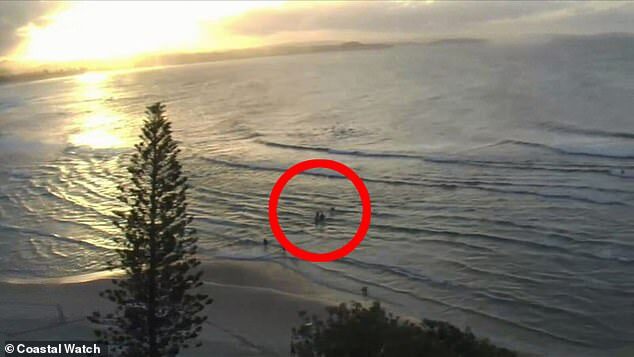 Click to enlarge Coastalwatch footage captured the moment a surfer brought the injured man to shore with the help of other beachgoers