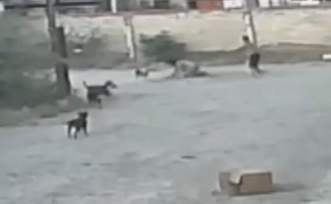 He fell to the ground as he was being attacked, before another man rushed to help him