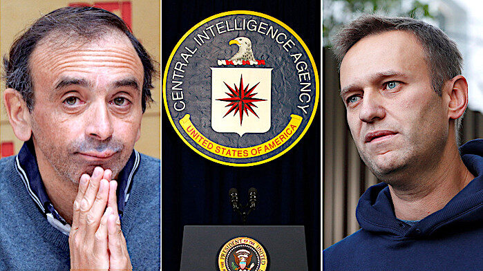 Click to enlarge Zemmour/Navalny