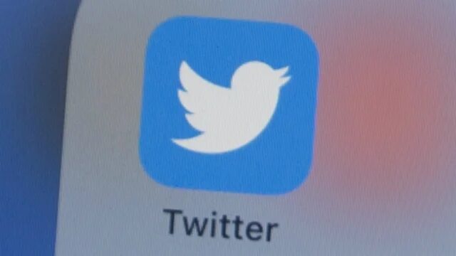 twitter logo icon