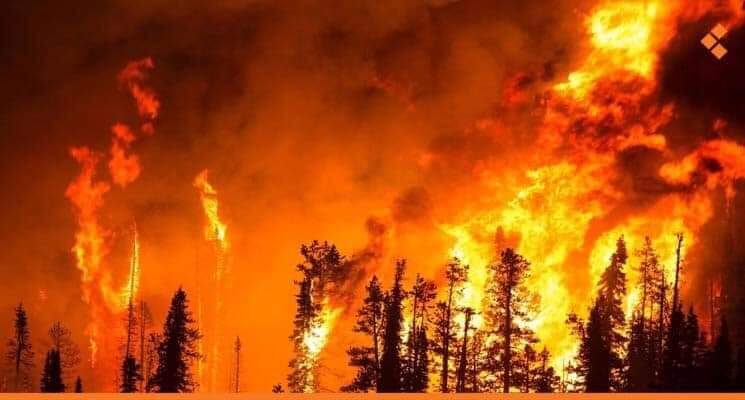 wildfire