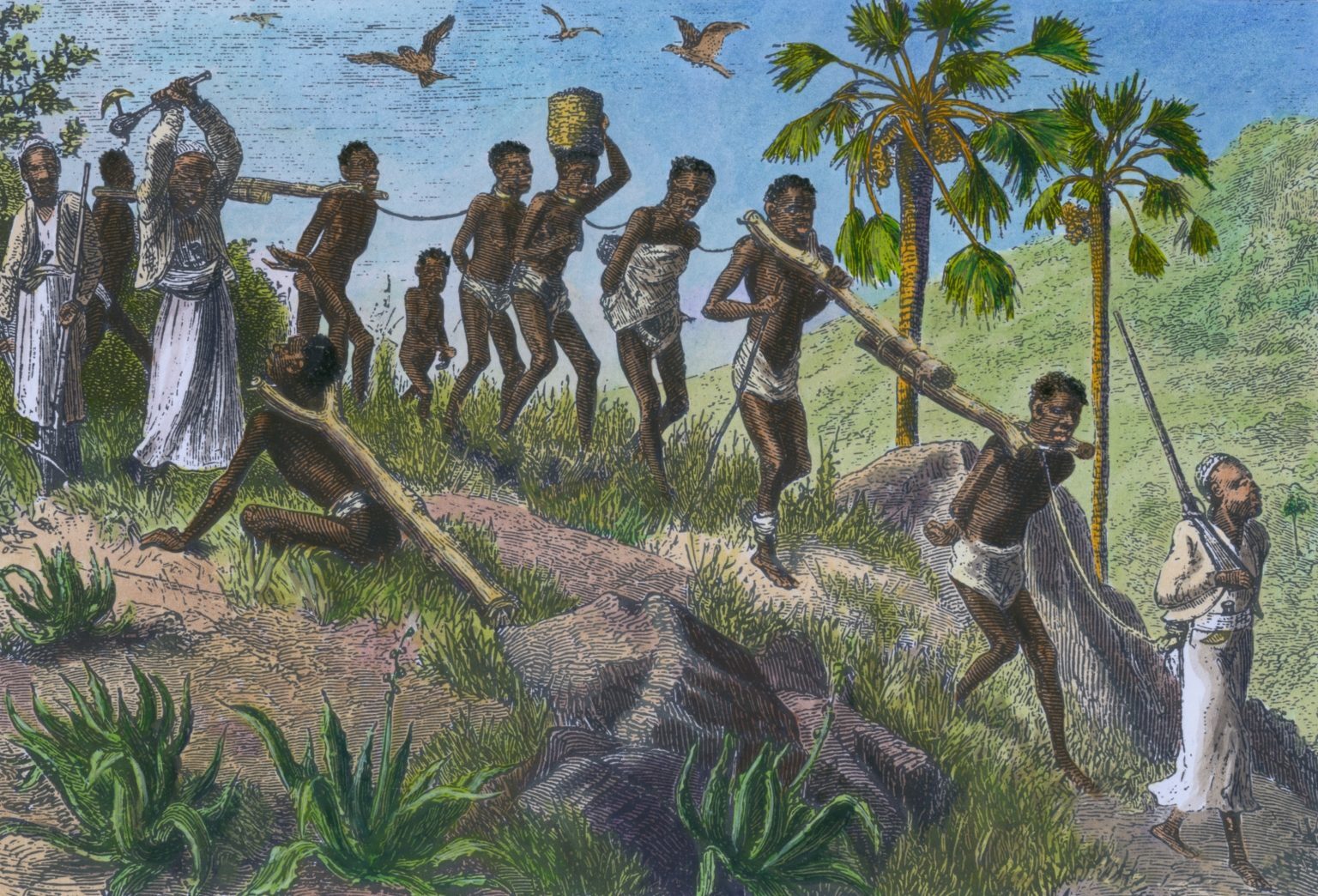 Click to enlarge african slaves africa engraving