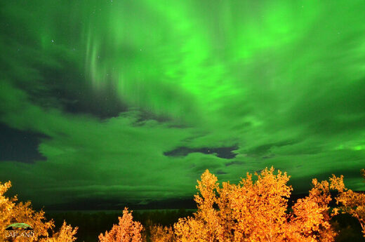 Green clouds captured on September 13, 2020 @ Abisko National Park, Sweden