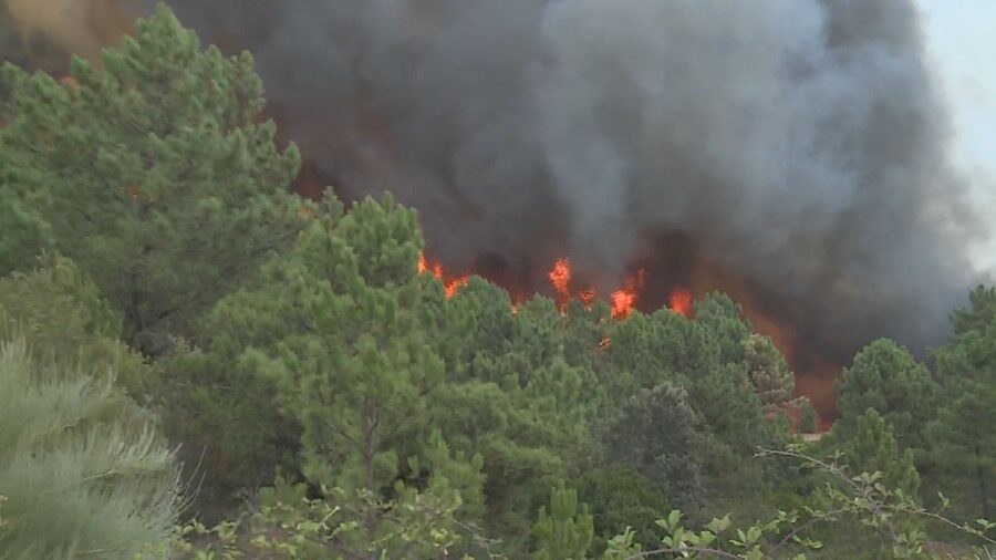 WILDFIRE