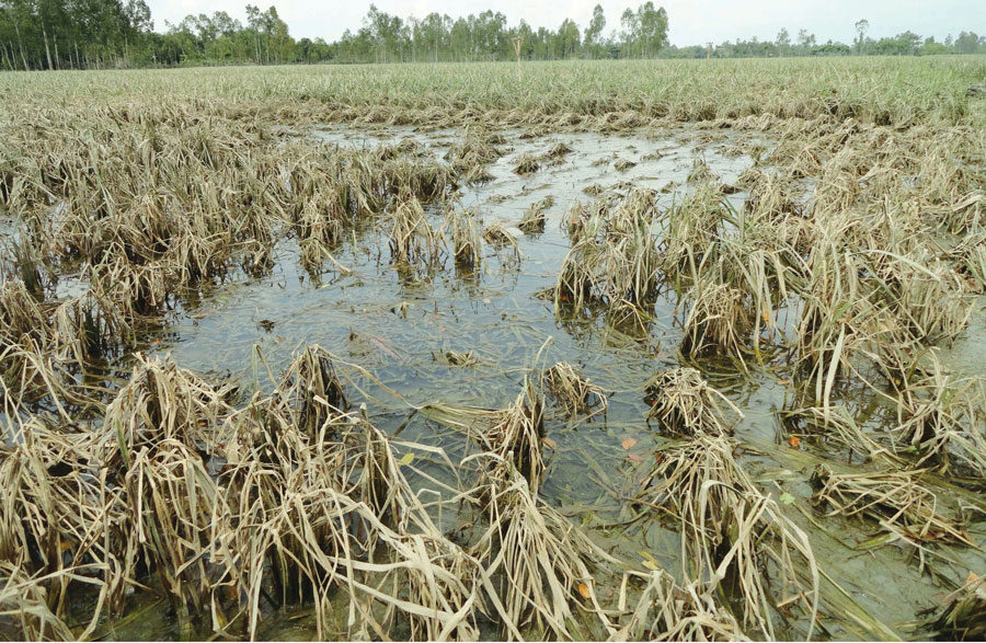 Click to enlarge flooded farmland