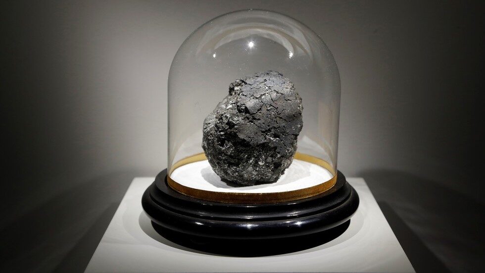 Orgueil meteorite microorganisms fossils