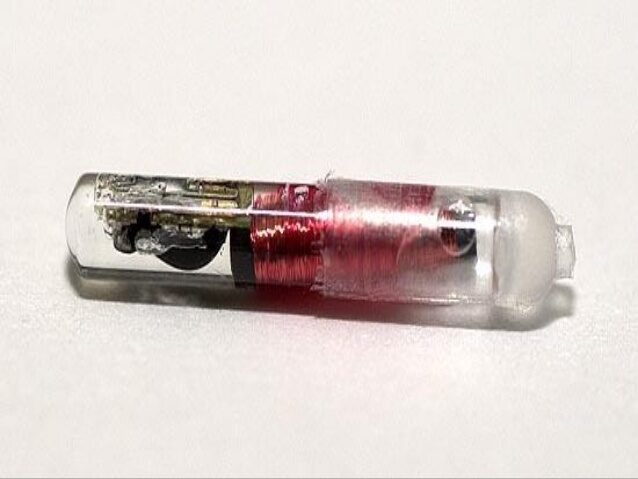 injectable biochip