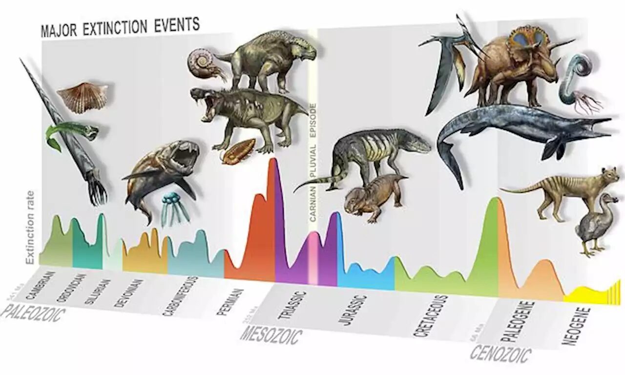 Summary of major extinction events