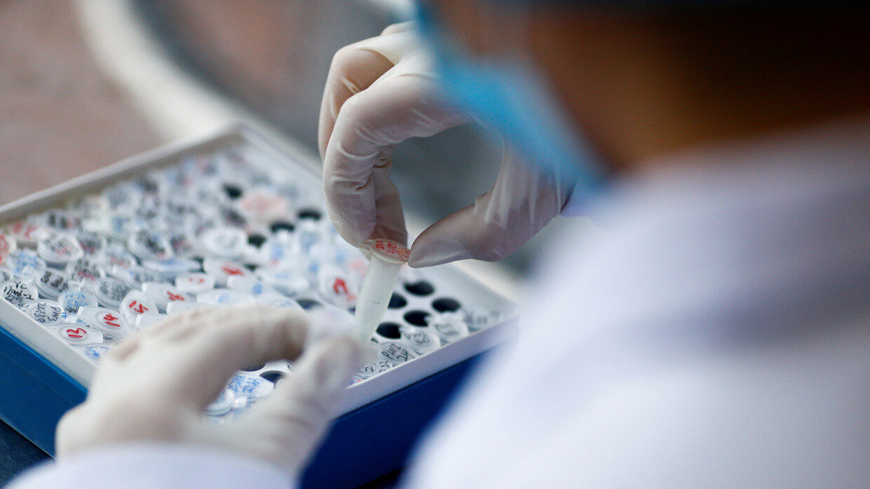Click to enlarge lab samples scientist covid