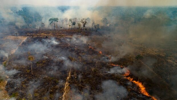 Click to enlarge Wildfires sweep into Brazil park harbouring jagu
