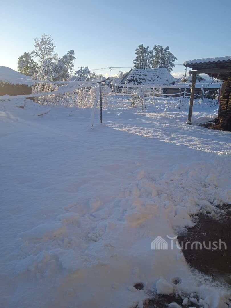 Click to enlarge snow