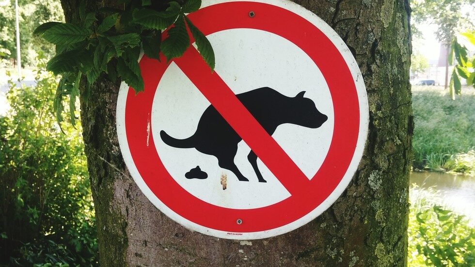 no dogs poop