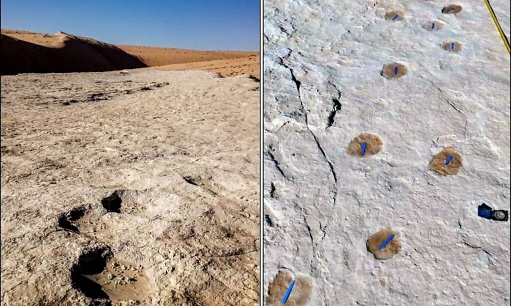 Click to enlarge ancient footprints arabia
