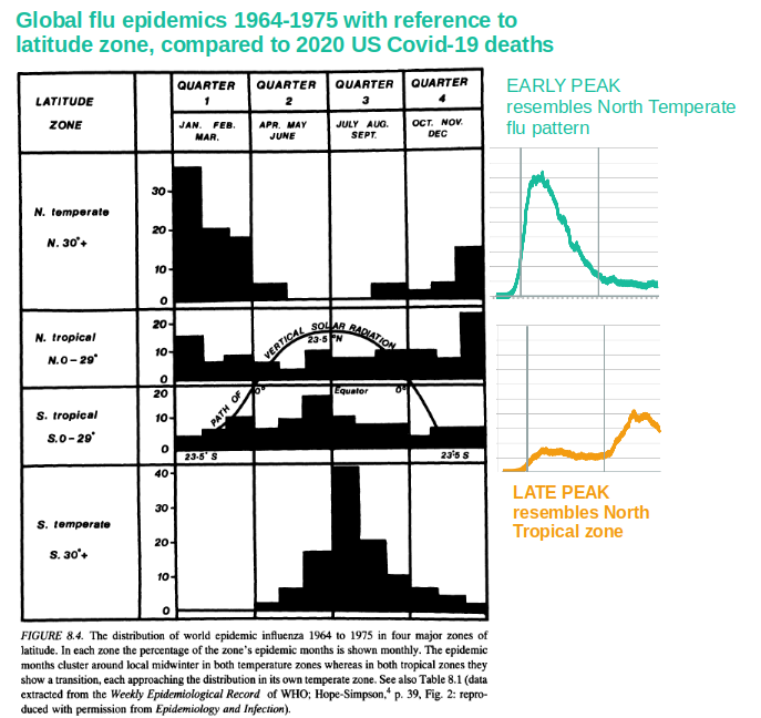 covid usa graph