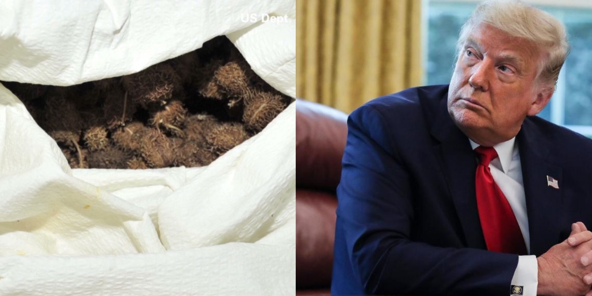 Click to enlarge ricin trump