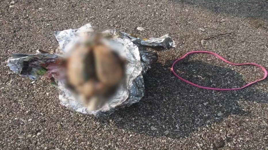 brain found racine beach