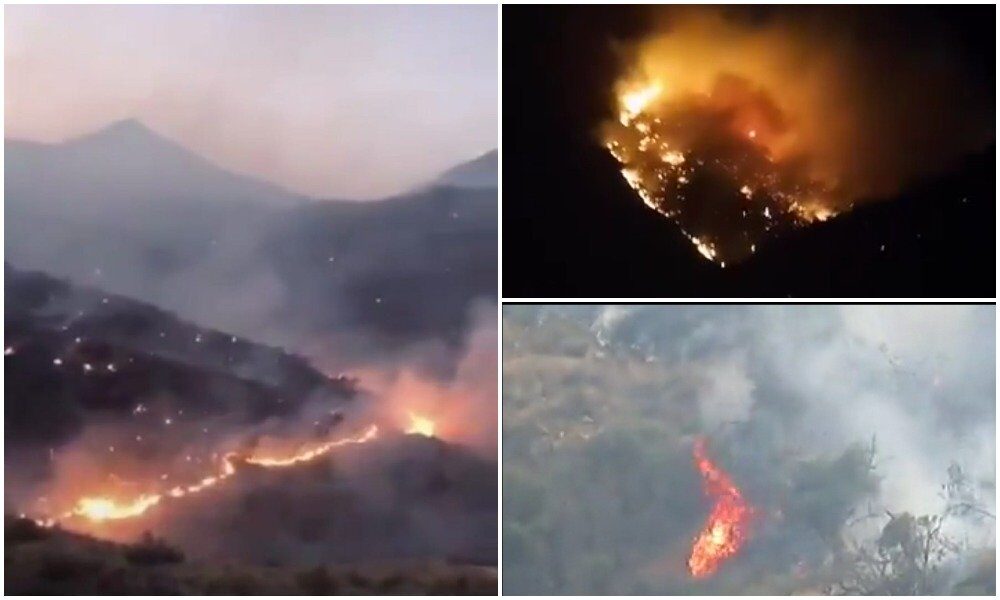 wildfire