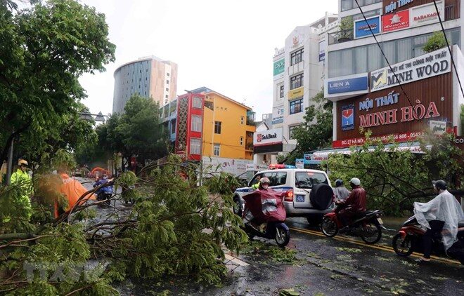 Typhoon Noul, the fifth to enter the East Sea this year, made landfall in Thua Thien-Hue province on the morning of September 18, causing heavy downpours, strong winds, and lightning.