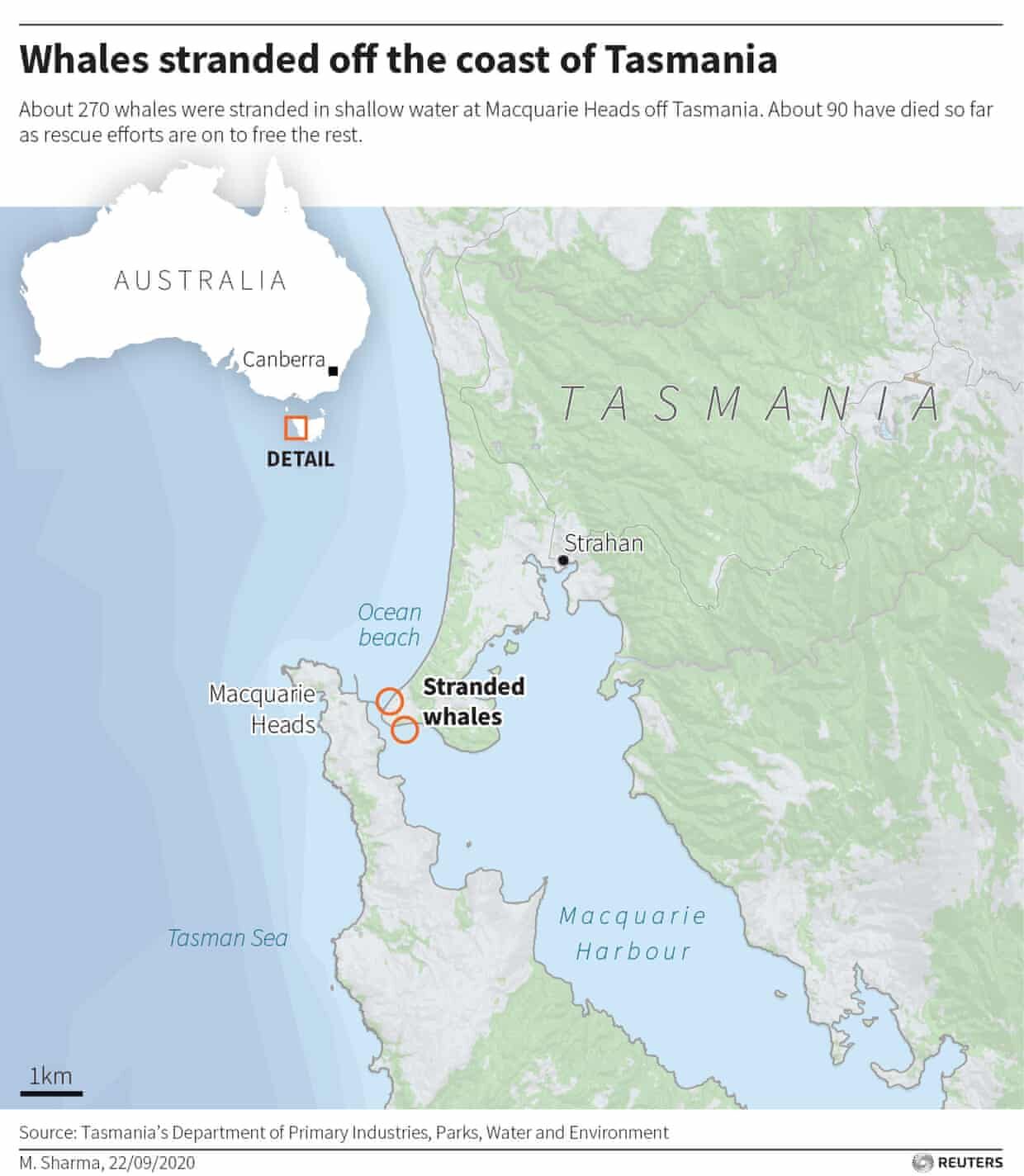 map whales