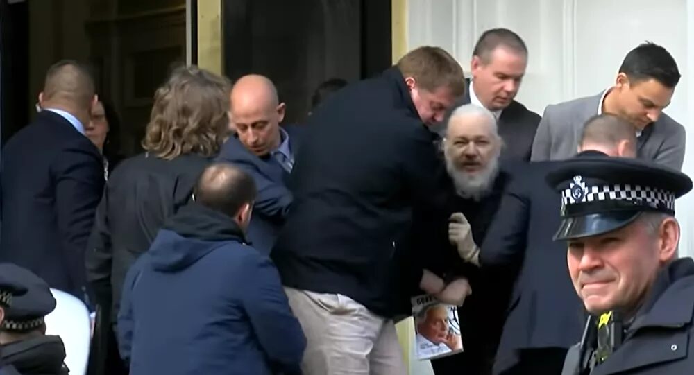 Assange's removal from embassy was coordinated on 'direct orders from the US president', court told