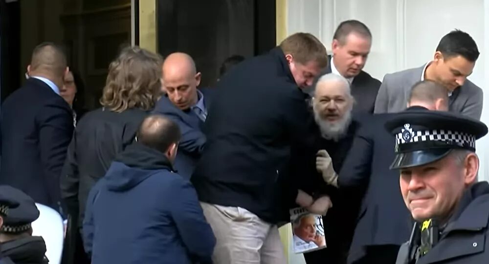 Click to enlarge assange