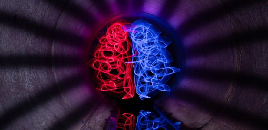 brain pathway light model