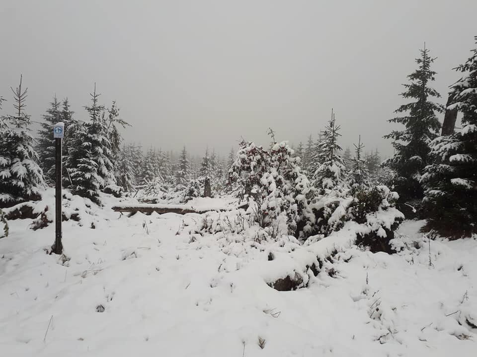 Click to enlarge snow