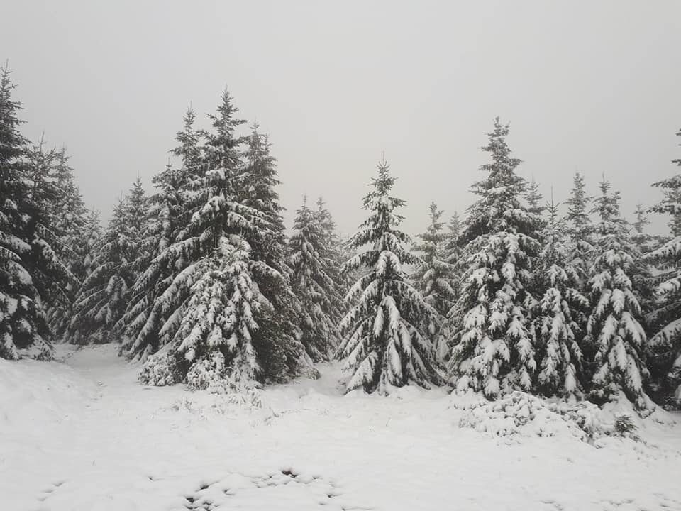 Click to enlarge snow
