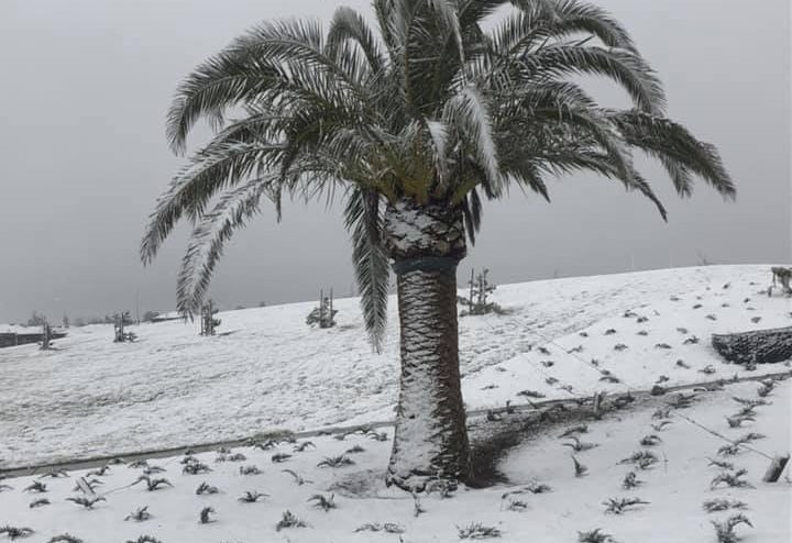 snow