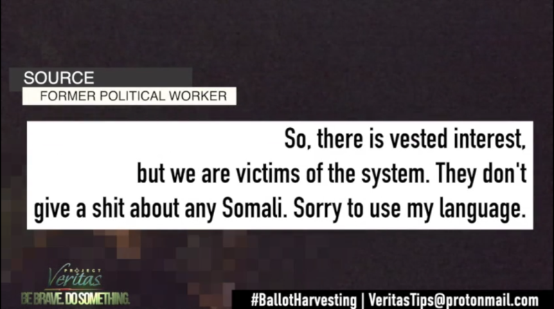 Click to enlarge project veritas ballot harvesting