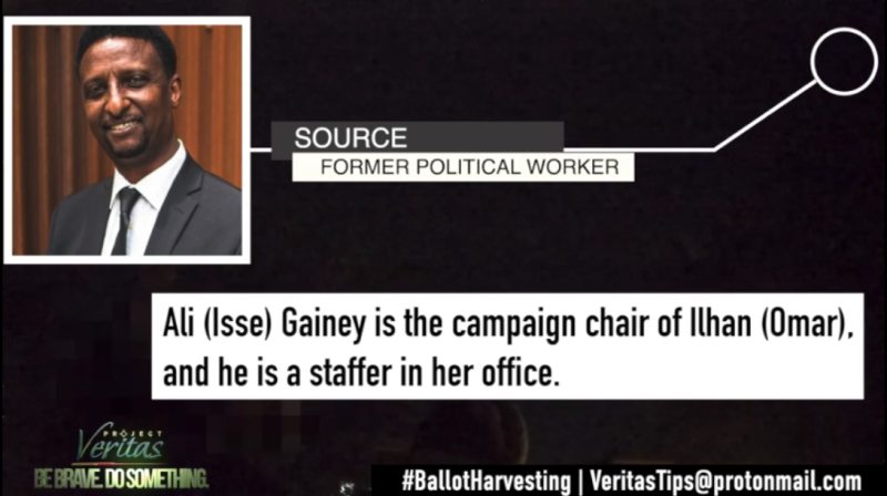 Click to enlarge ballot harvesting Screenshot Project Veritas