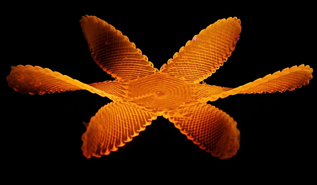 Liquid Crystal