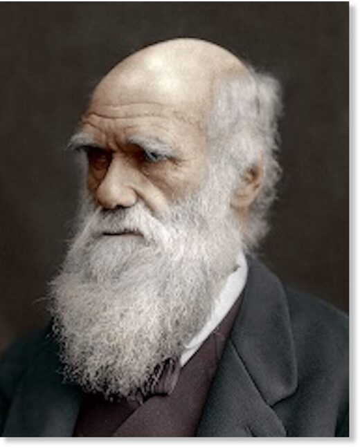 Click to enlarge Charles Darwin