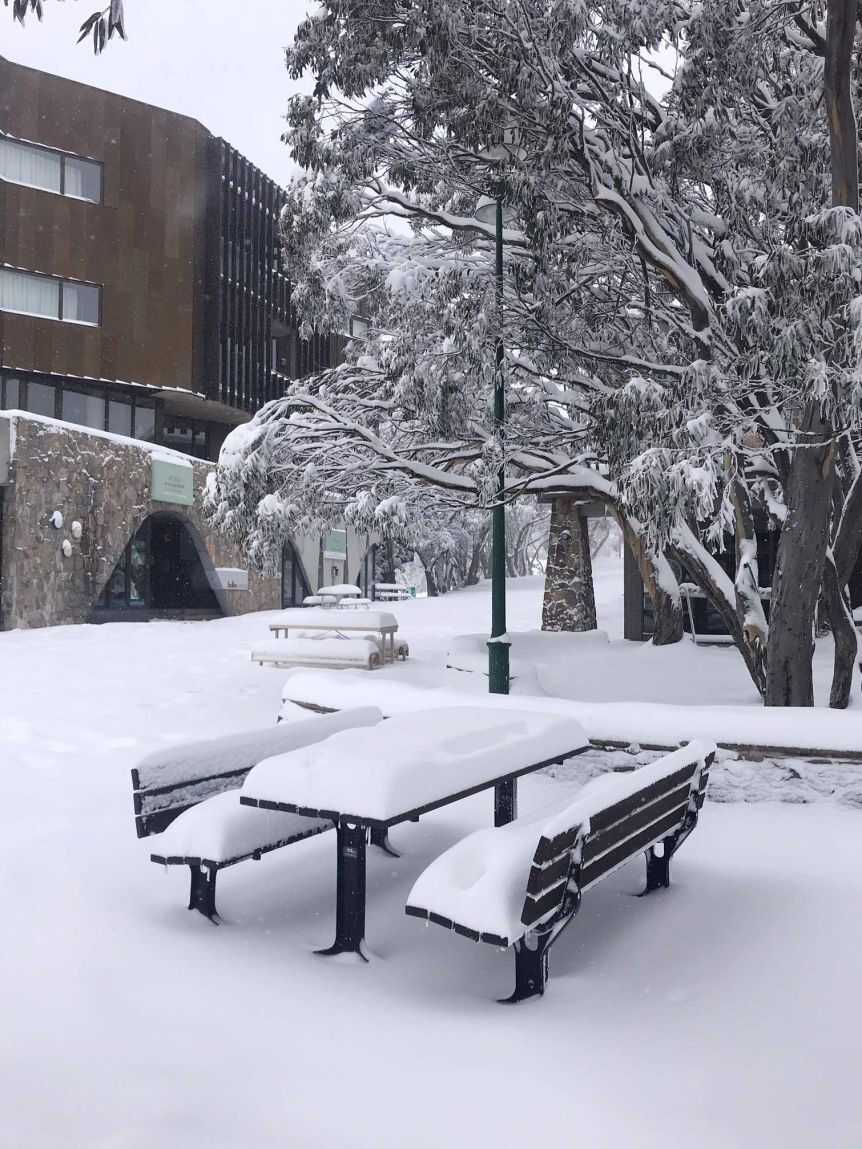 Mount Buller resort