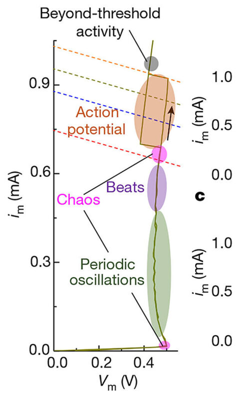 Neuron Like Device