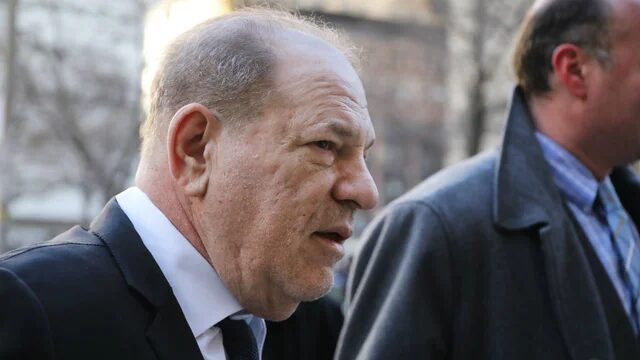 harvey weinstein