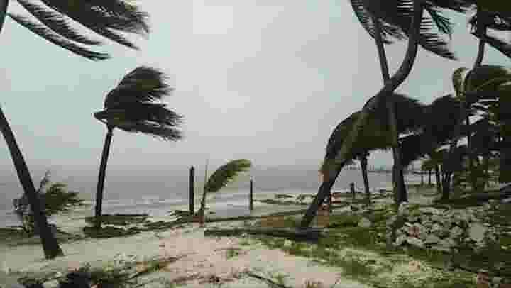 Trees were whipped around as high winds and heavy rain hit Cancún, Quintana Roo, Mexico, as Tropical Storm Gamma passed through on Oct. 3.