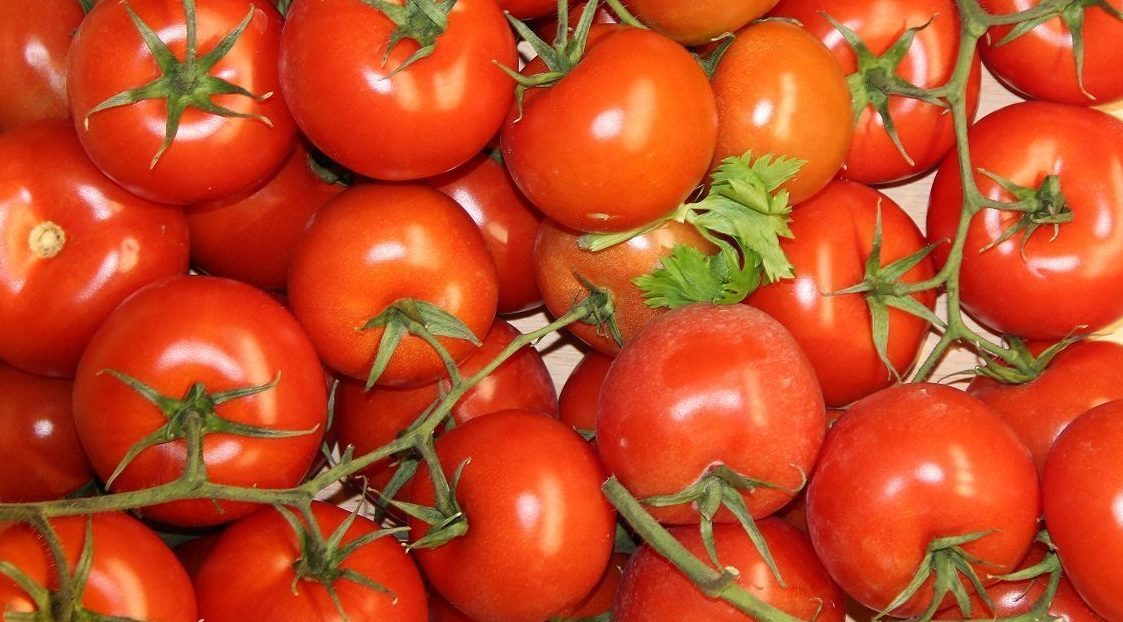 tomato