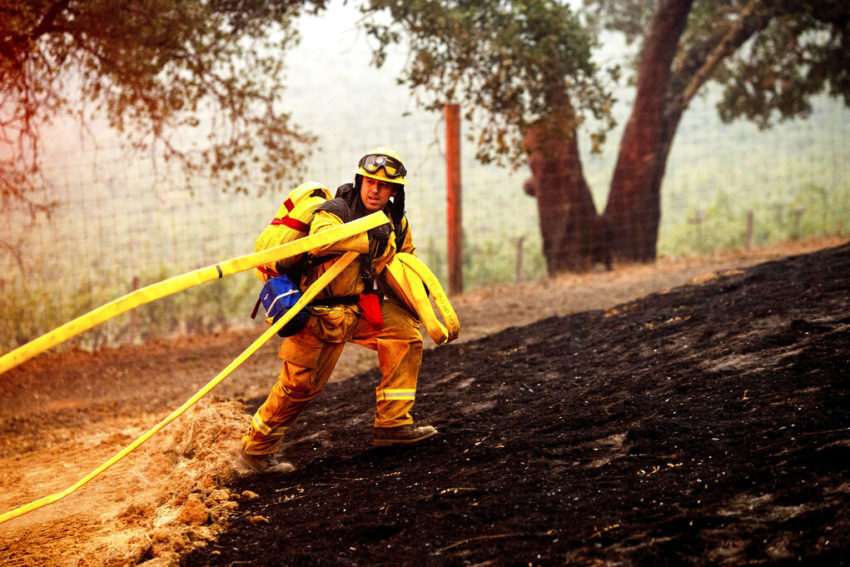 A firefighter battles the Glass Fire burning in a Calistoga, Calif., vineyard Thursday, Oct. 1, 2020.