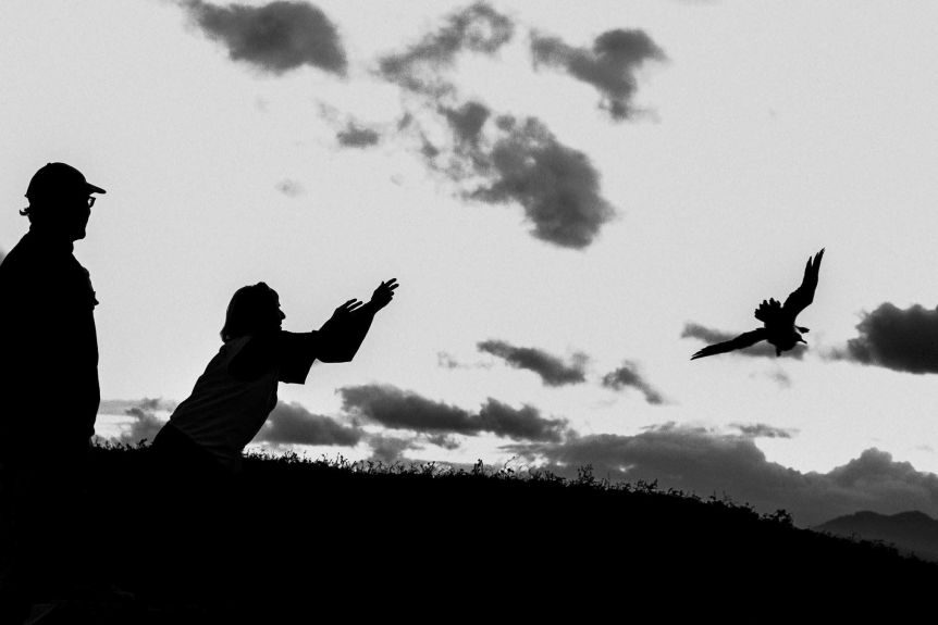 A WIRES volunteer releases a shearwater into the sky.