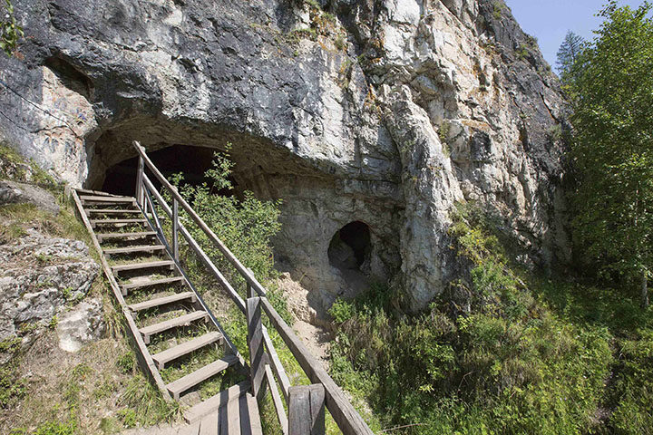Click to enlarge Denisova