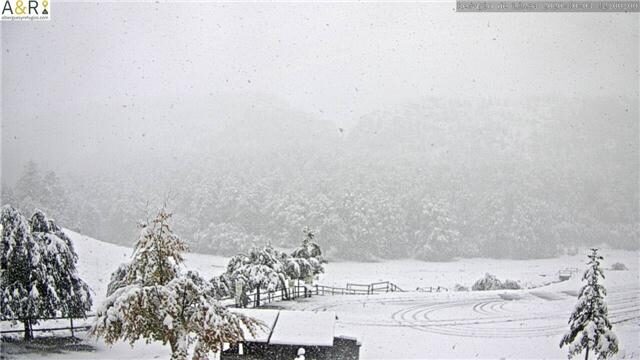snow