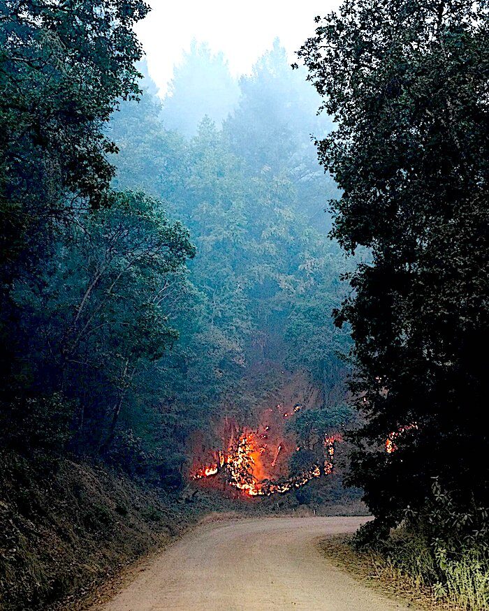 Click to enlarge fire Healdsburg