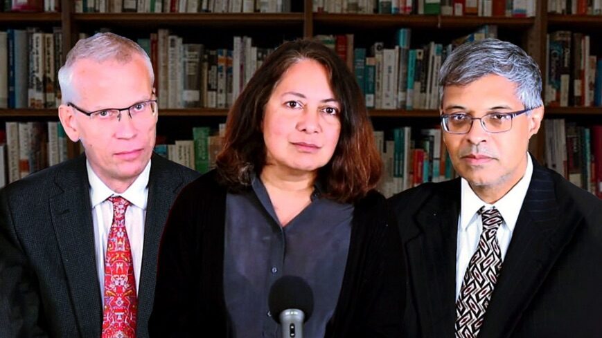 Sunetra Gupta, Jay Bhattacharya and Martin Kulldorff